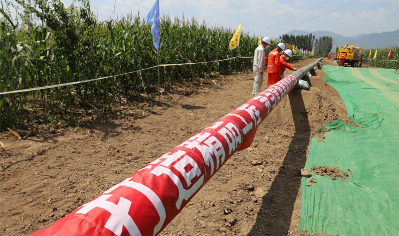 �����ʴ�6600(�й���)�ٷ���վ